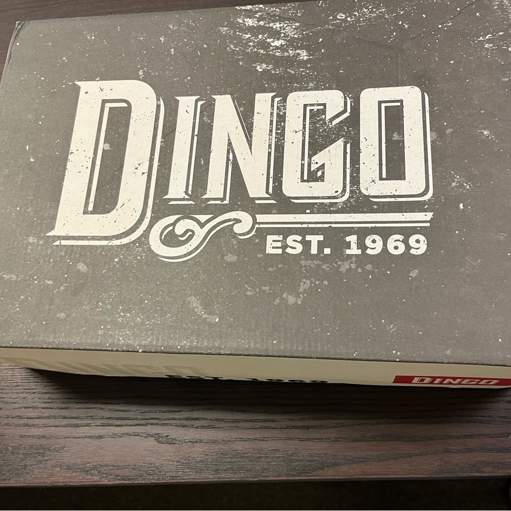 Dingo 1969 White Love Bug Boots - size 10 NIB - Picture 4 of 5